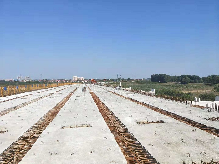 1543815712408659.jpg 5.jpg